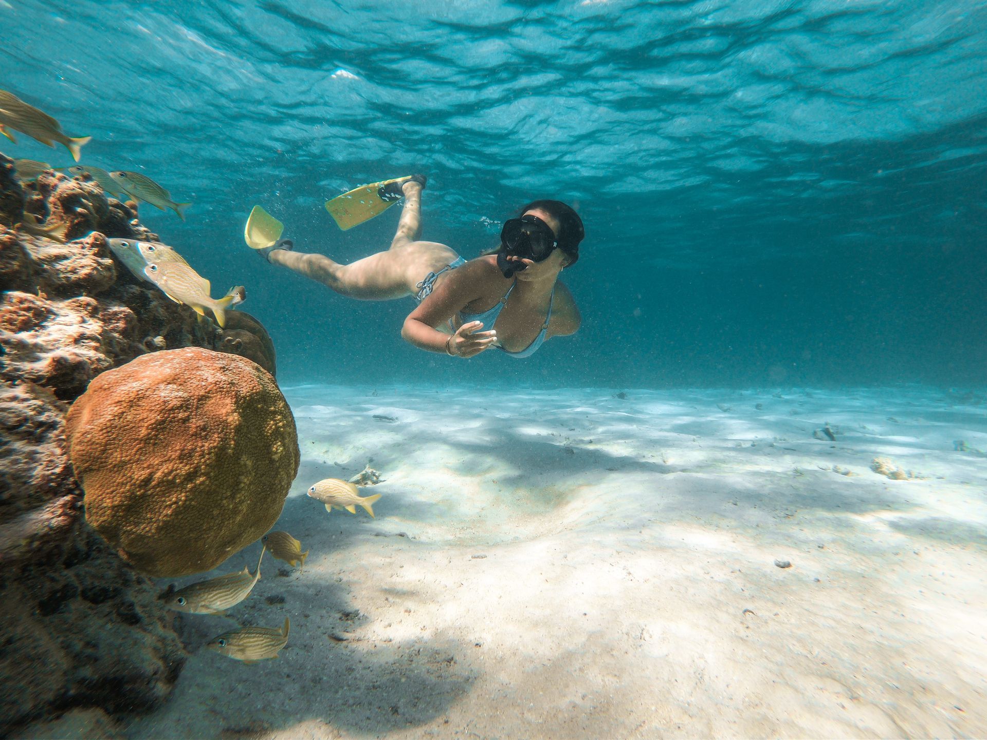 a woman is swimming in the ocean near a coral reef .