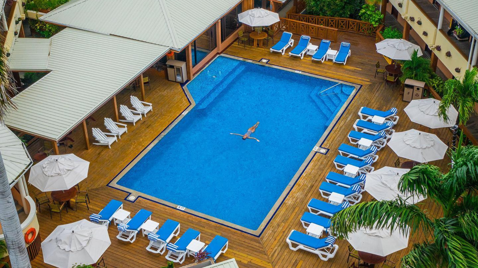 an aerial view of the hotel BW Plus Biltmore Plaza swimming pool surrounded by chairs and umbrellas .