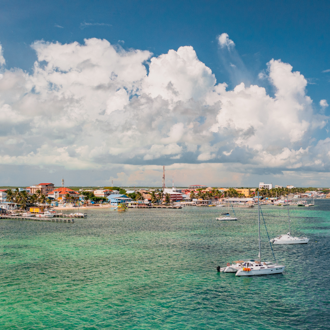 there are many boats in the water and a city in the background .