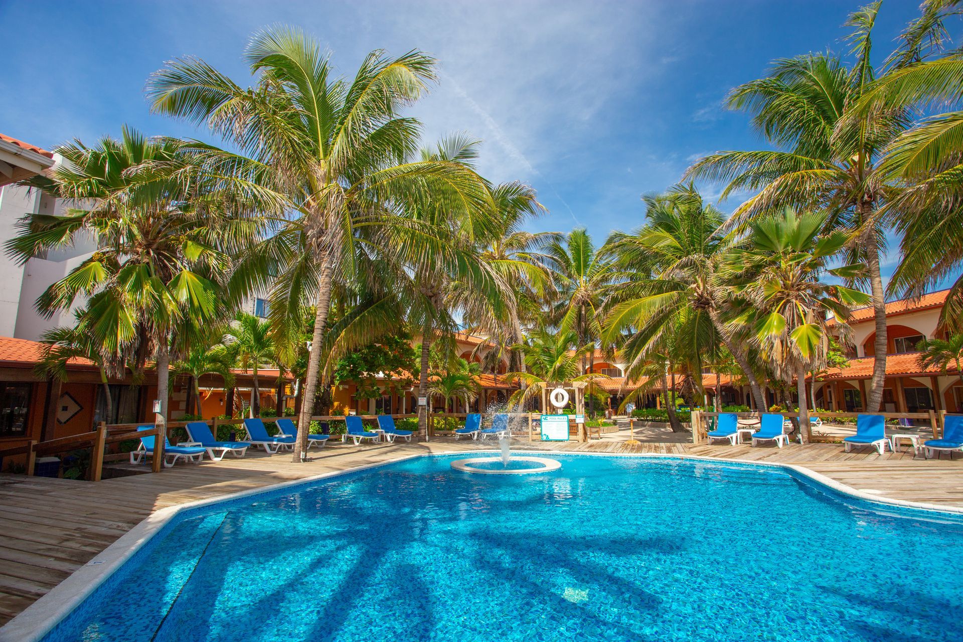 a large swimming pool surrounded by palm trees and chairs .