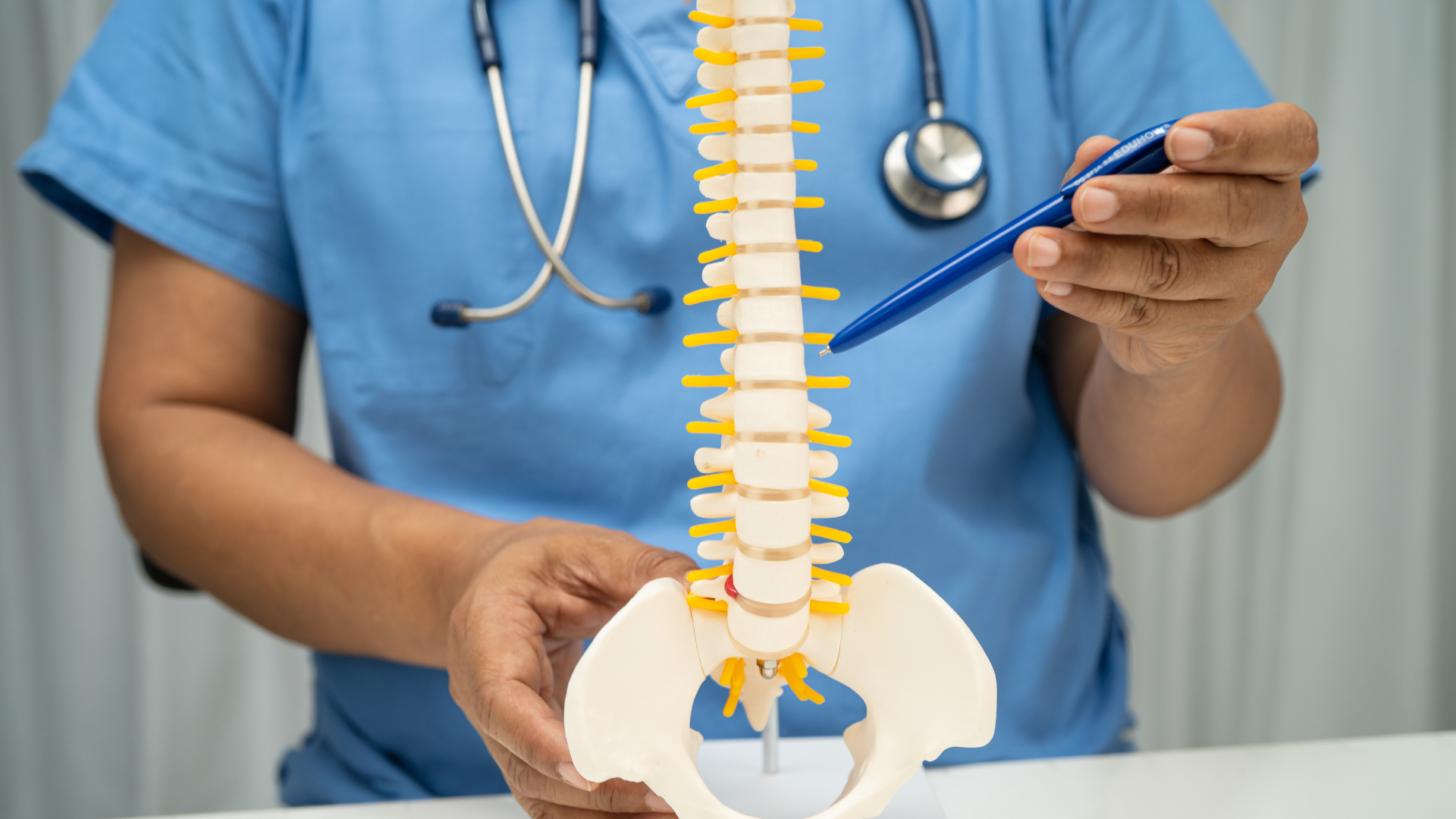 A healthcare professional in scrubs holds and points to a spinal column model.