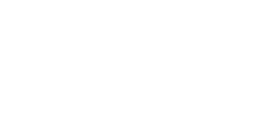 A golden retriever dog stands on a paved path in a park, wearing a harness and looking toward the camera.