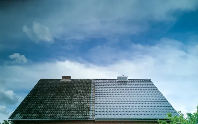 roof-cleaning-ocean-city-new-jersey