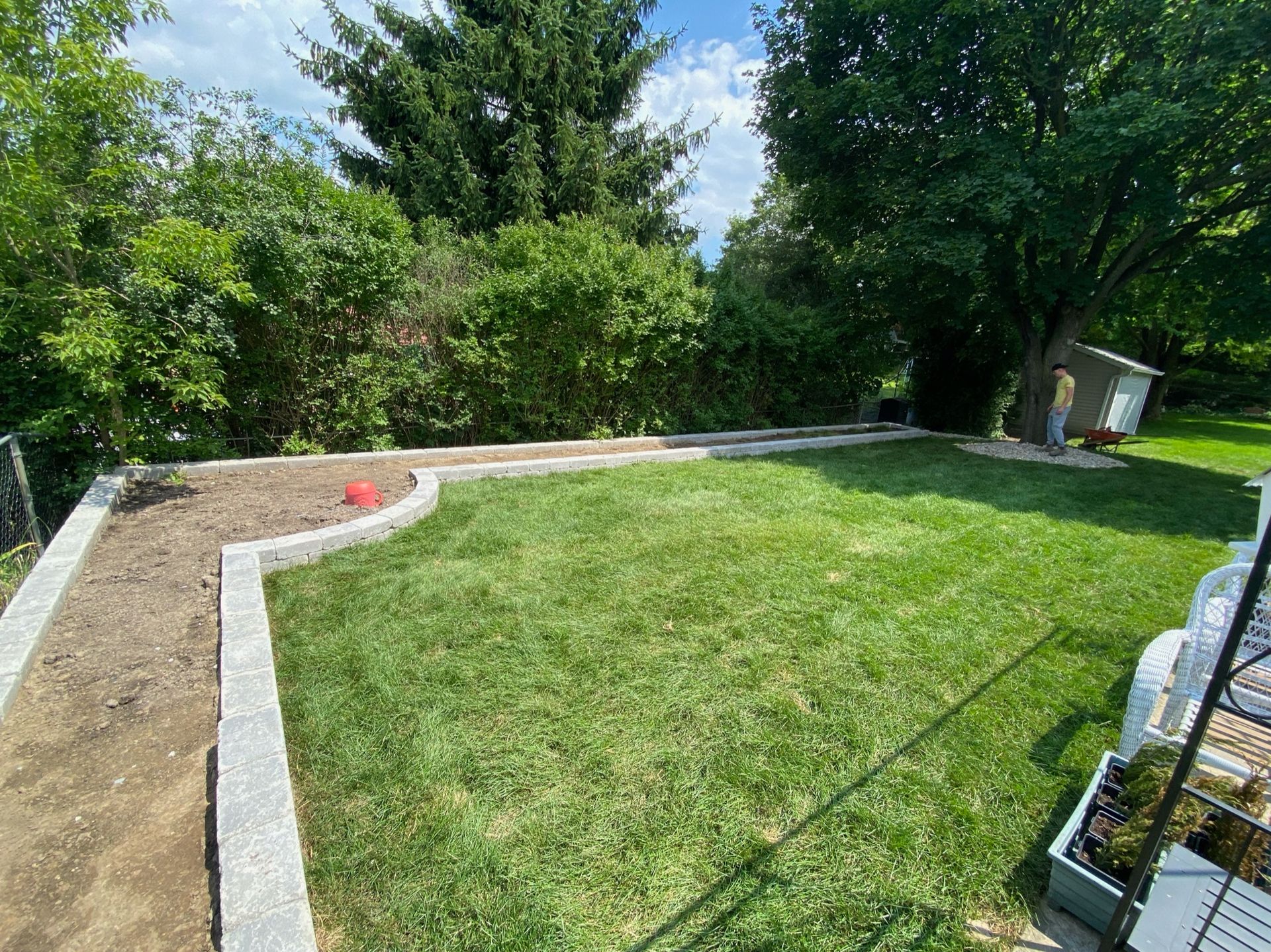 A lush green lawn with a concrete walkway and a shed in the background.