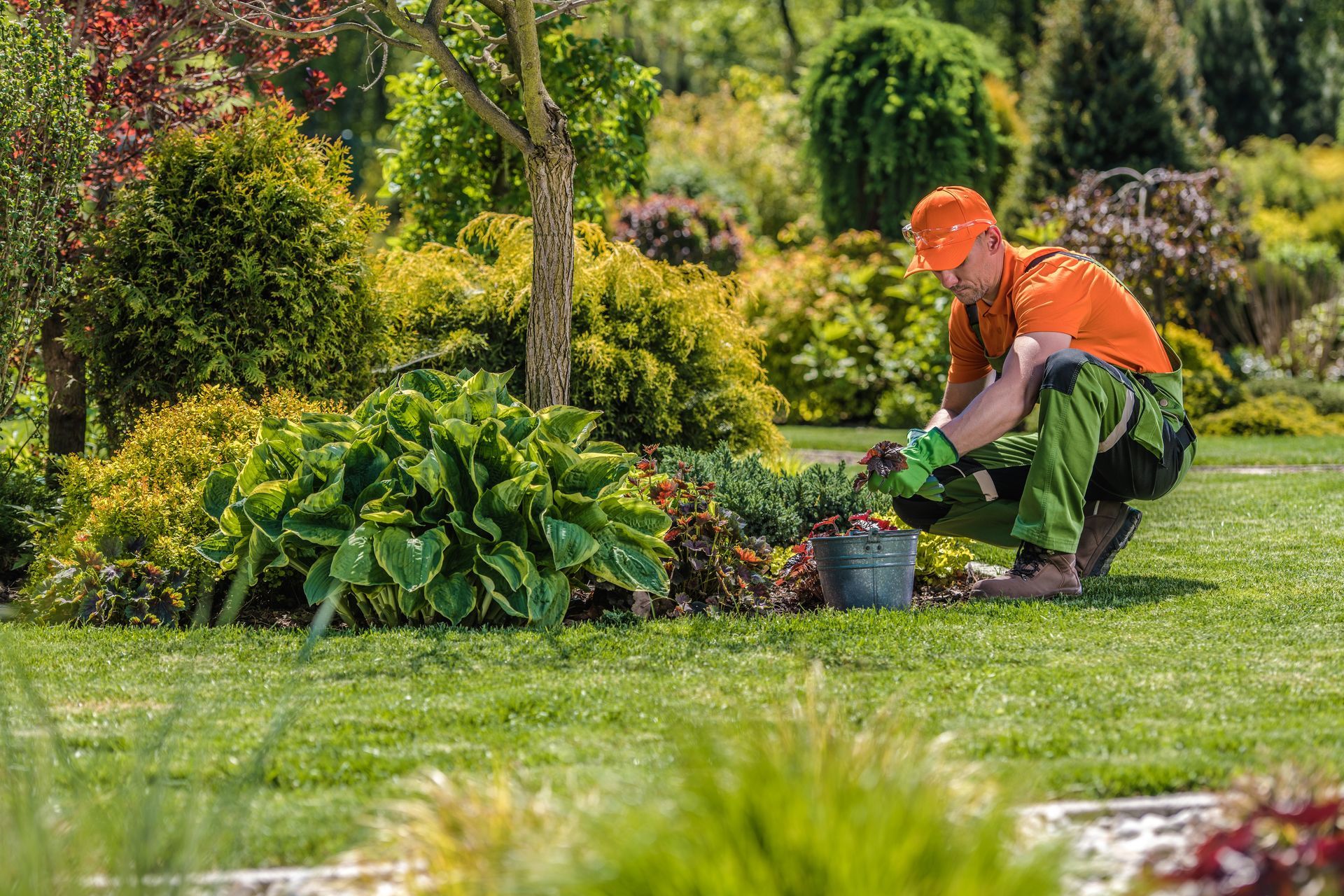 Gardener in orange shirt and green pants tending to plants in a lush, green garden.