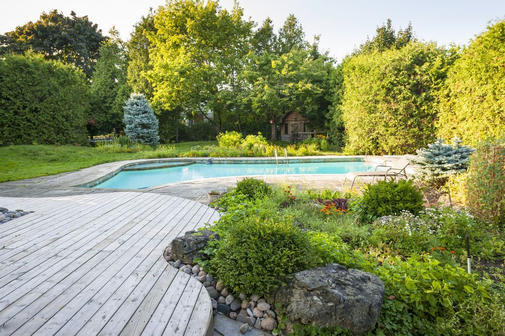 Backyard pool with curved wooden deck, lush green landscaping, and trees in bright sunlight