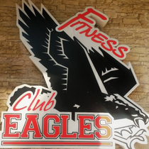 EAGLES FITNESS CLUB logo