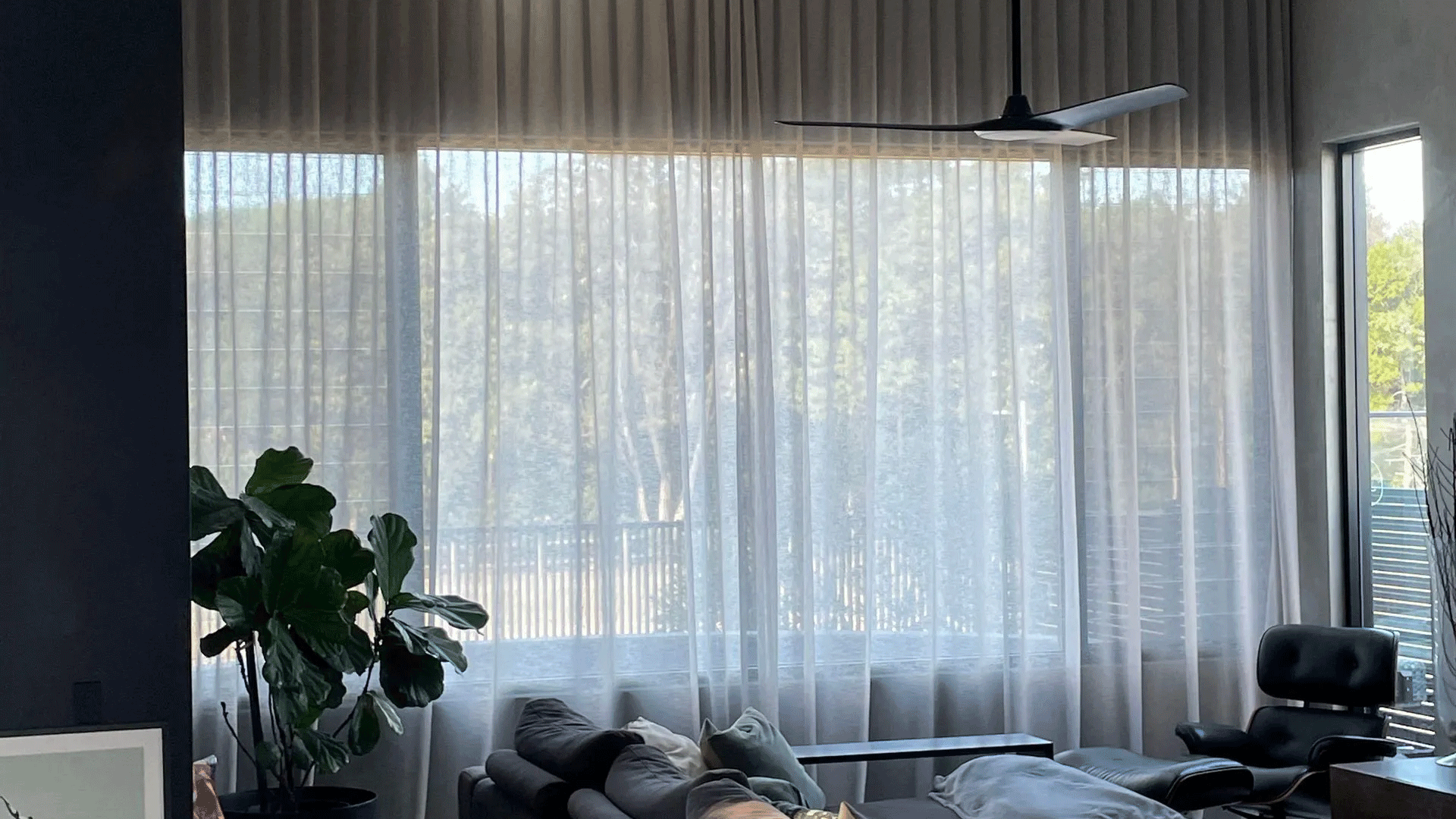 Living Room With A Couch, Chair, Table And Ceiling Fan — Creative Curtains & Blinds In Tweed Heads South, NSW