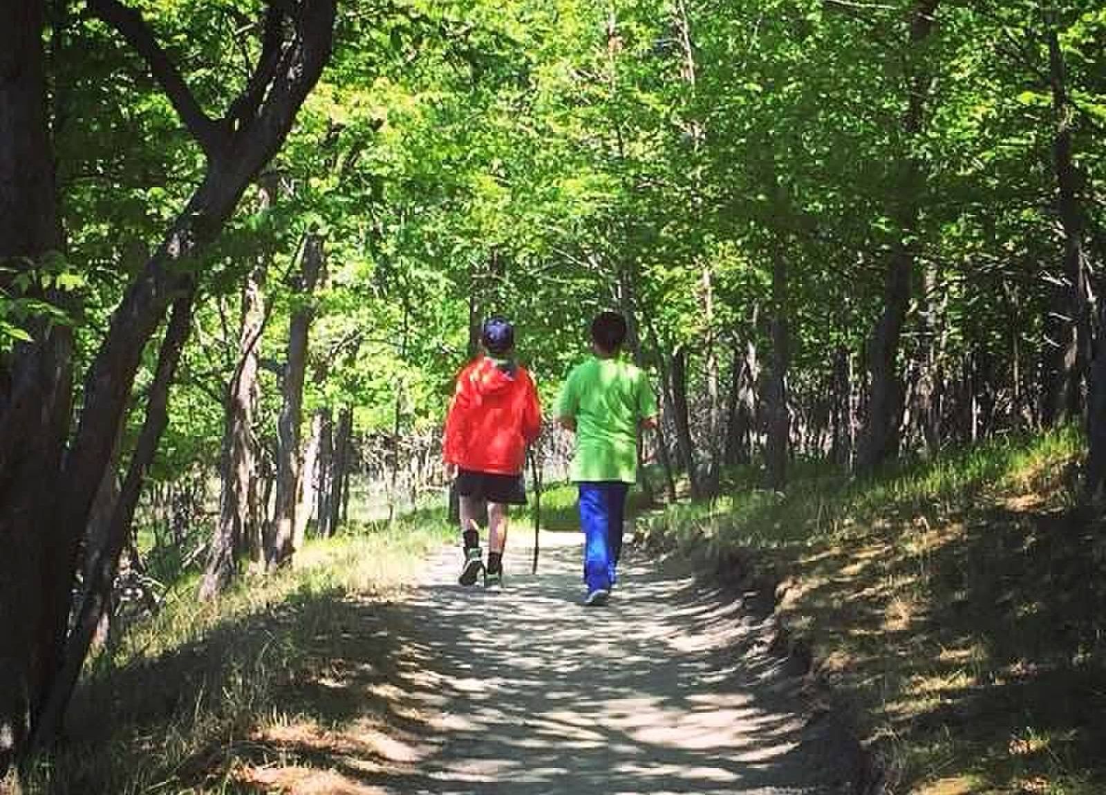 Two children walking on a hiking trail in the woods