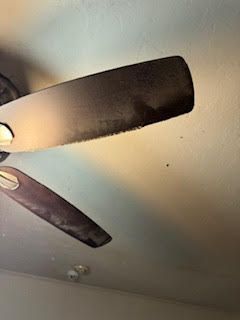 Ceiling fan with dark blades against a light ceiling.