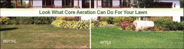 Look What Liquid Aeration Can Do For Your Lawn, Before & After, Organic Lawn Care, Lawn Renovation in Southern, NJ