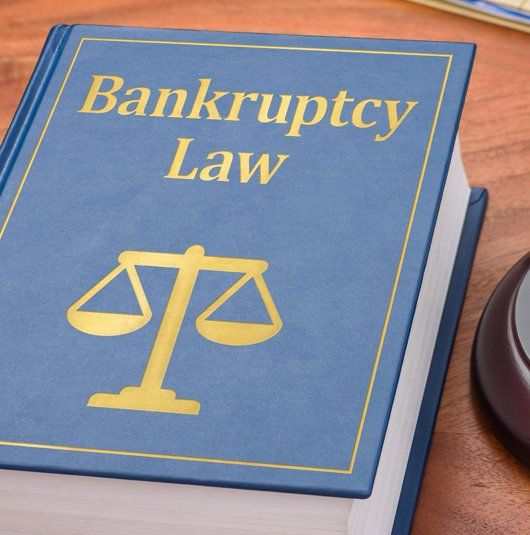 Bankruptcy Book — Greenup, KY — McGinnis Leslie Attorneys At Law