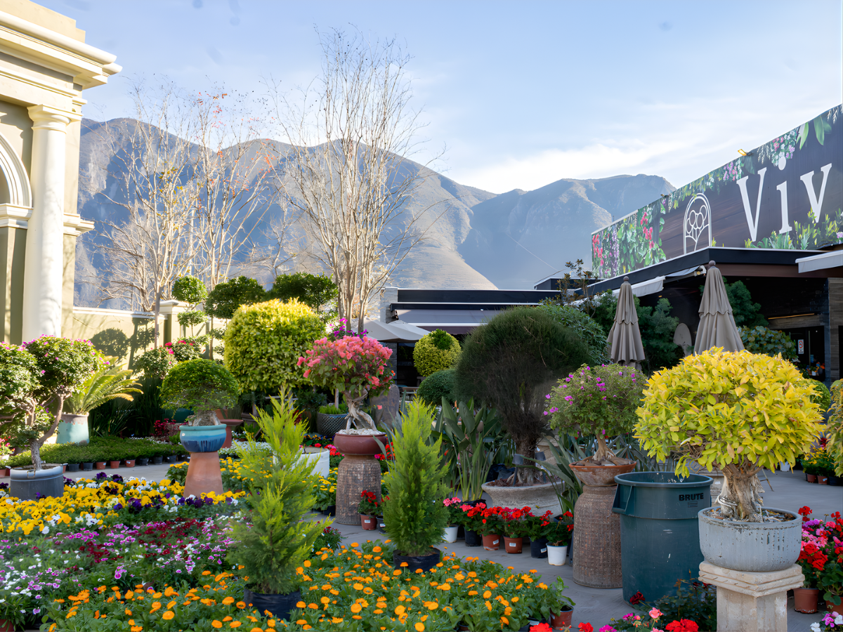 Exposición de plantas y flores