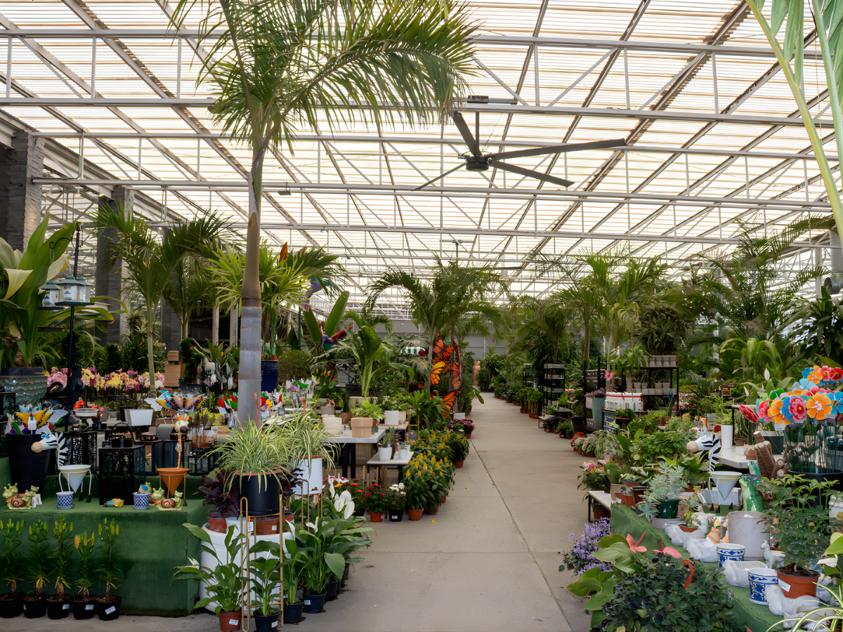 Pasillos del vivero