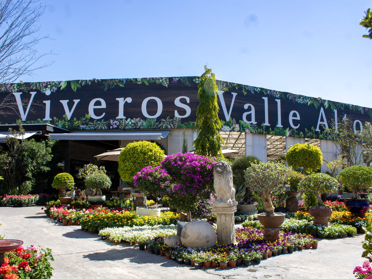 Vista del vivero con plantas verdes