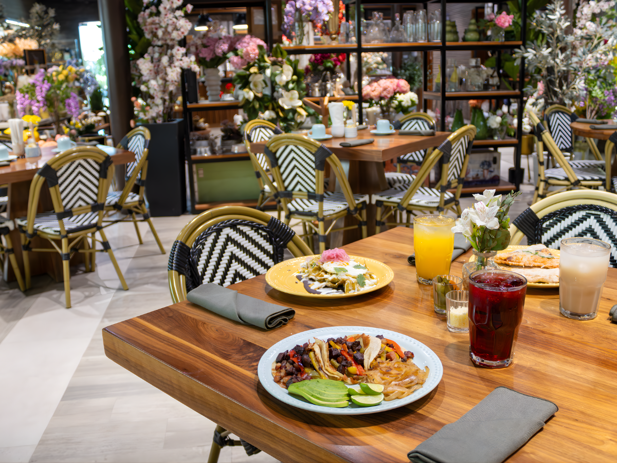 Restaurante rodeado de plantas dentro del vivero