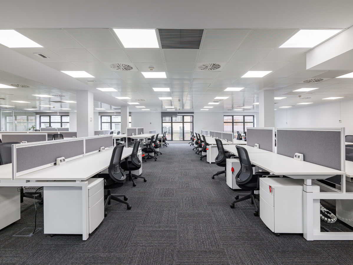 Empty, modern office with rows of desks, gray carpet, and white overhead lights.