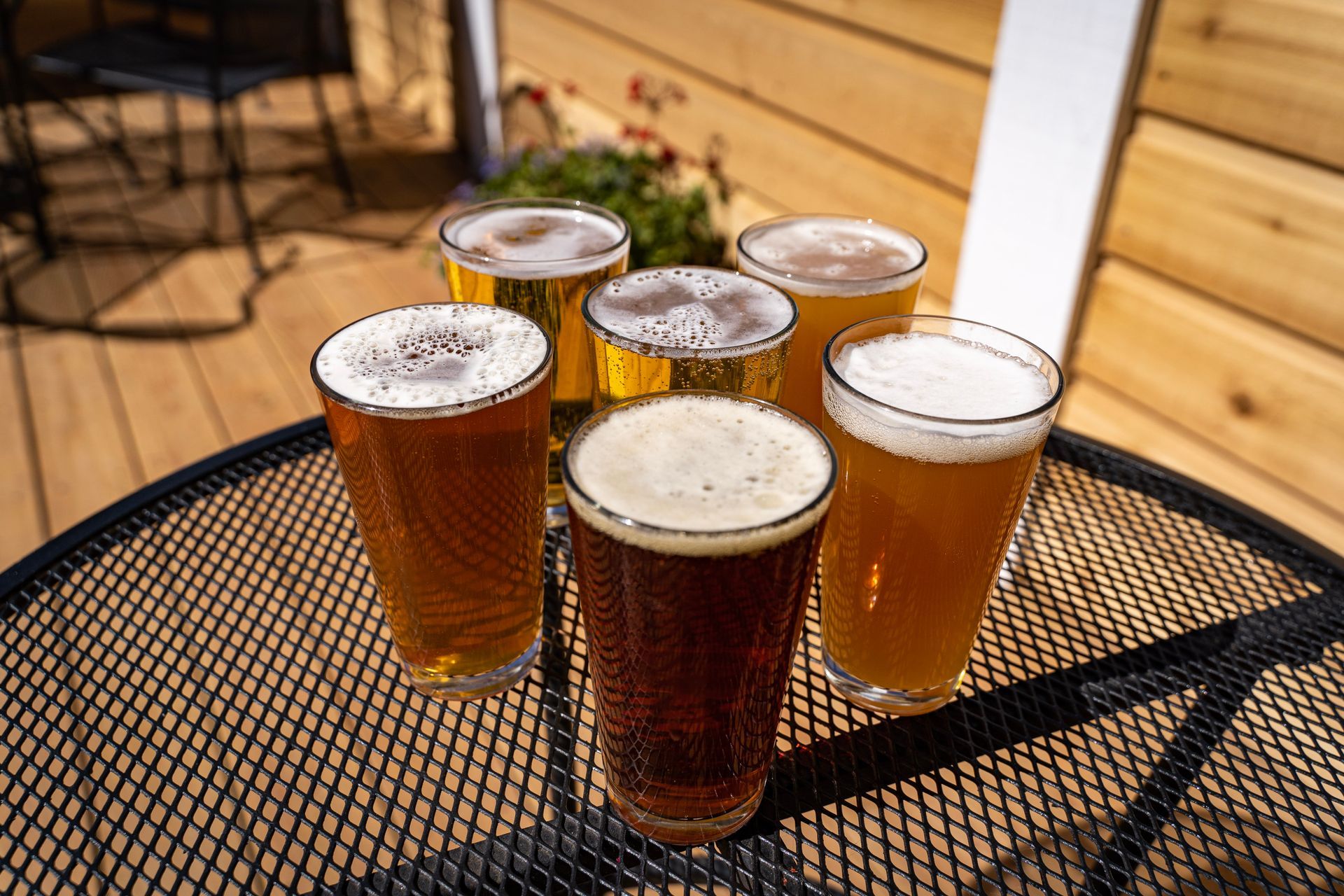 About Us Pie Zans Pizzeria Gunnison, CO