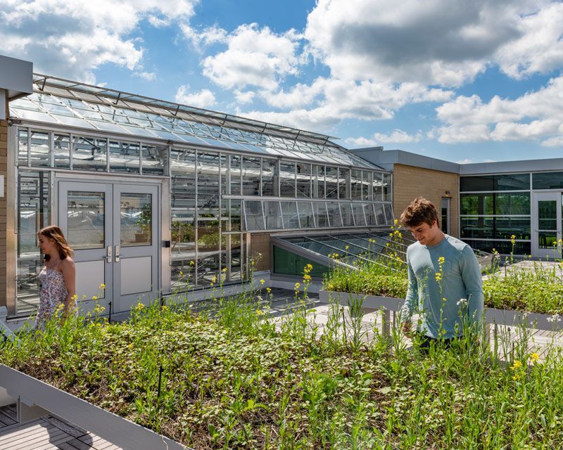 A man and a woman are standing in a garden on the roof of a building.