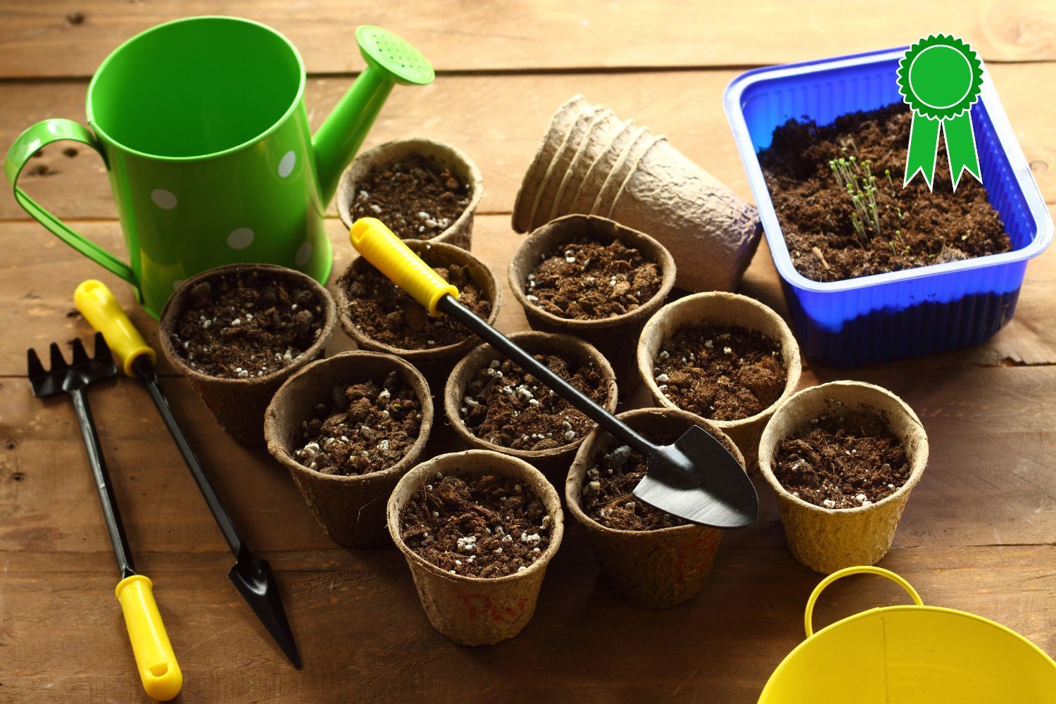 A wooden table topped with potted plants , gardening tools , and a watering can.