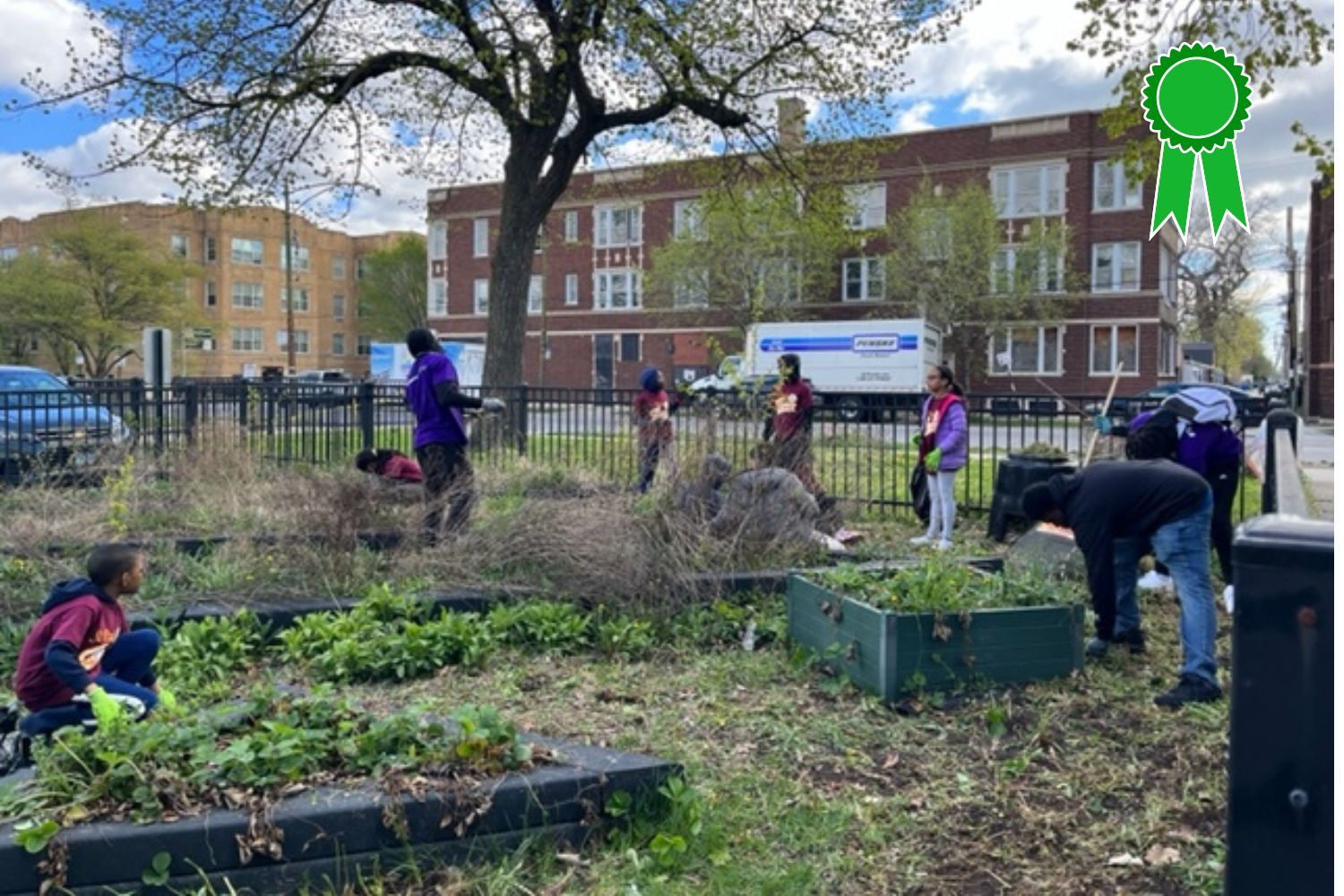 A group of people are working in a garden.