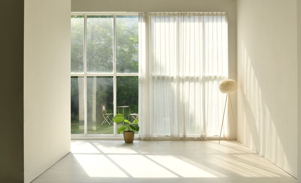 Empty room with large window, sheer curtains, sunlight, potted plant, and a lamp.