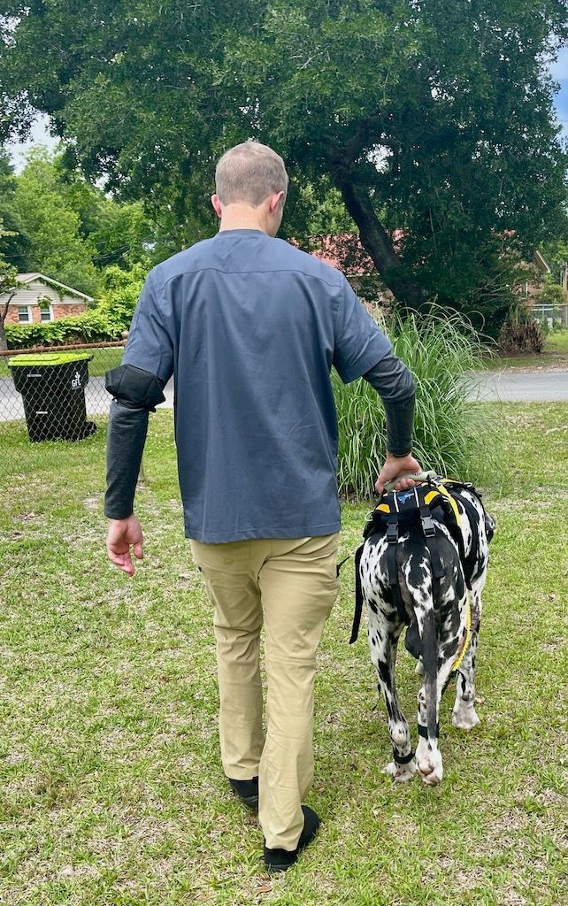 A man is walking a  dog in a grassy field.