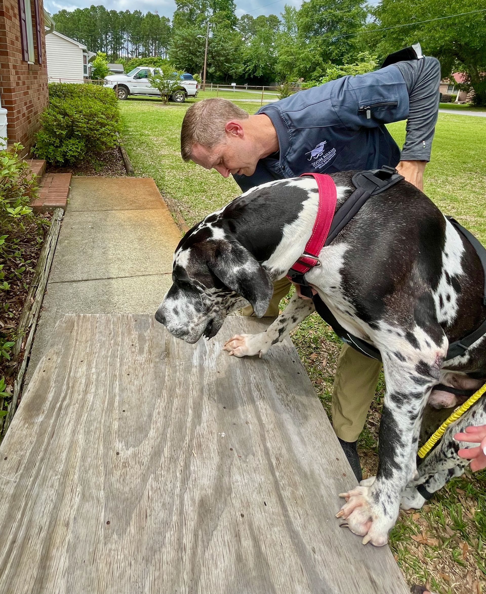 A man is standing next to a black and white dog on a sidewalk.