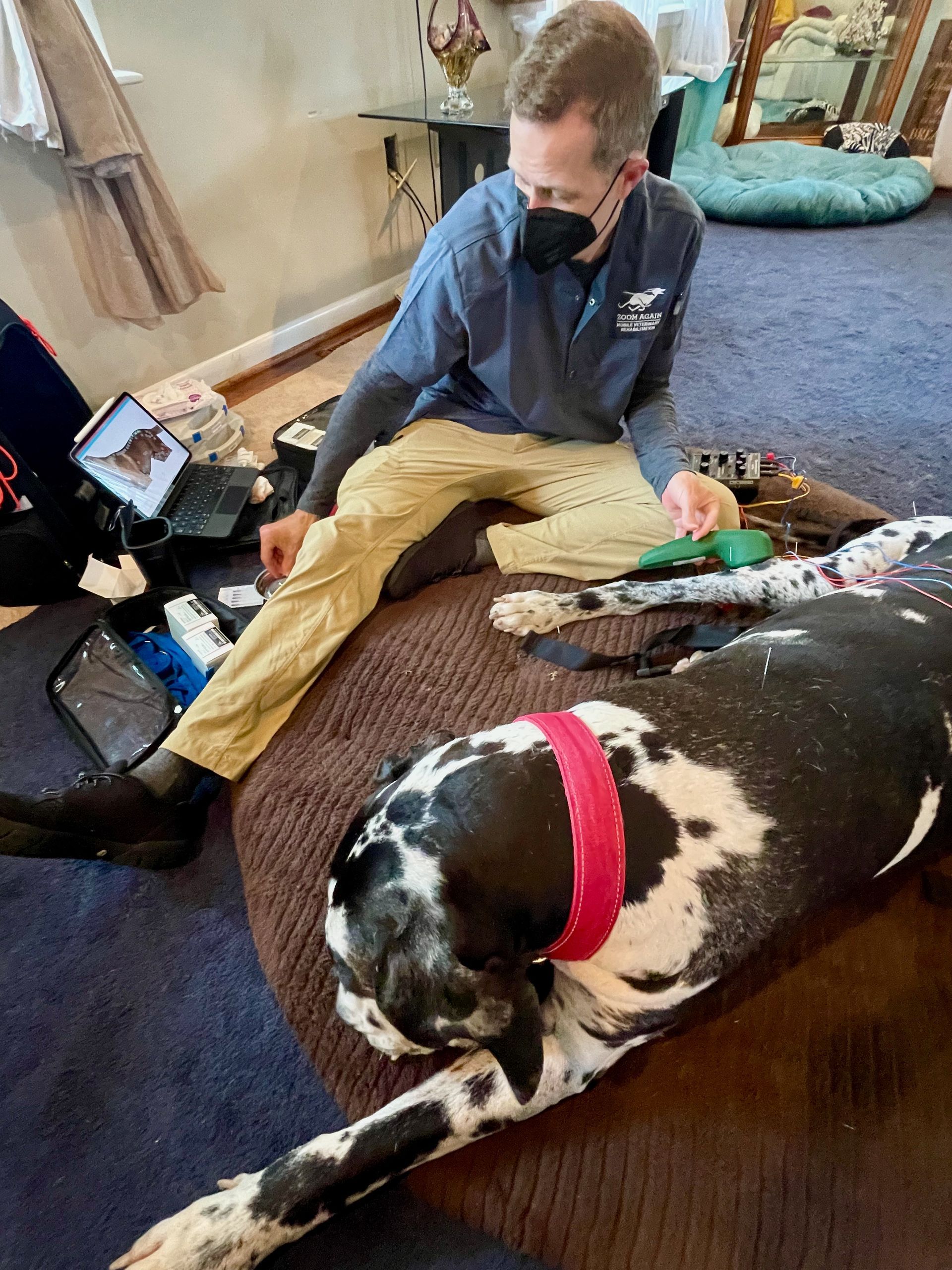 A man is sitting on a couch next to a black and white dog.