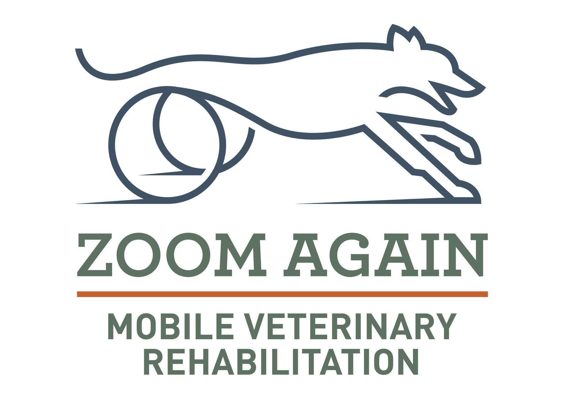 Logo image of Zoom Again Mobile Veterinary Rehabilitation featuring a line drawing of a sighthound with wheels for back legs