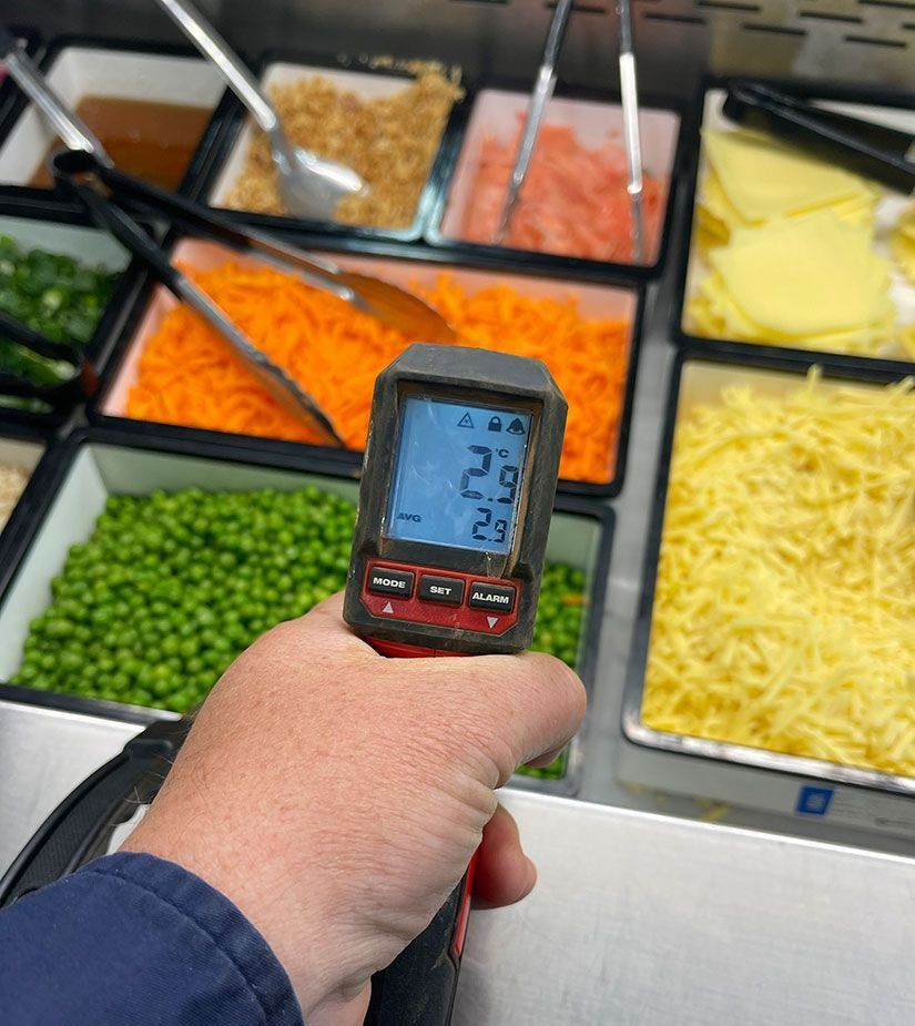 A Person is Holding a Thermometer in Front of a Variety of Vegetables — Condie Refrigeration & Airconditioning in Ocean Shores, NSW
