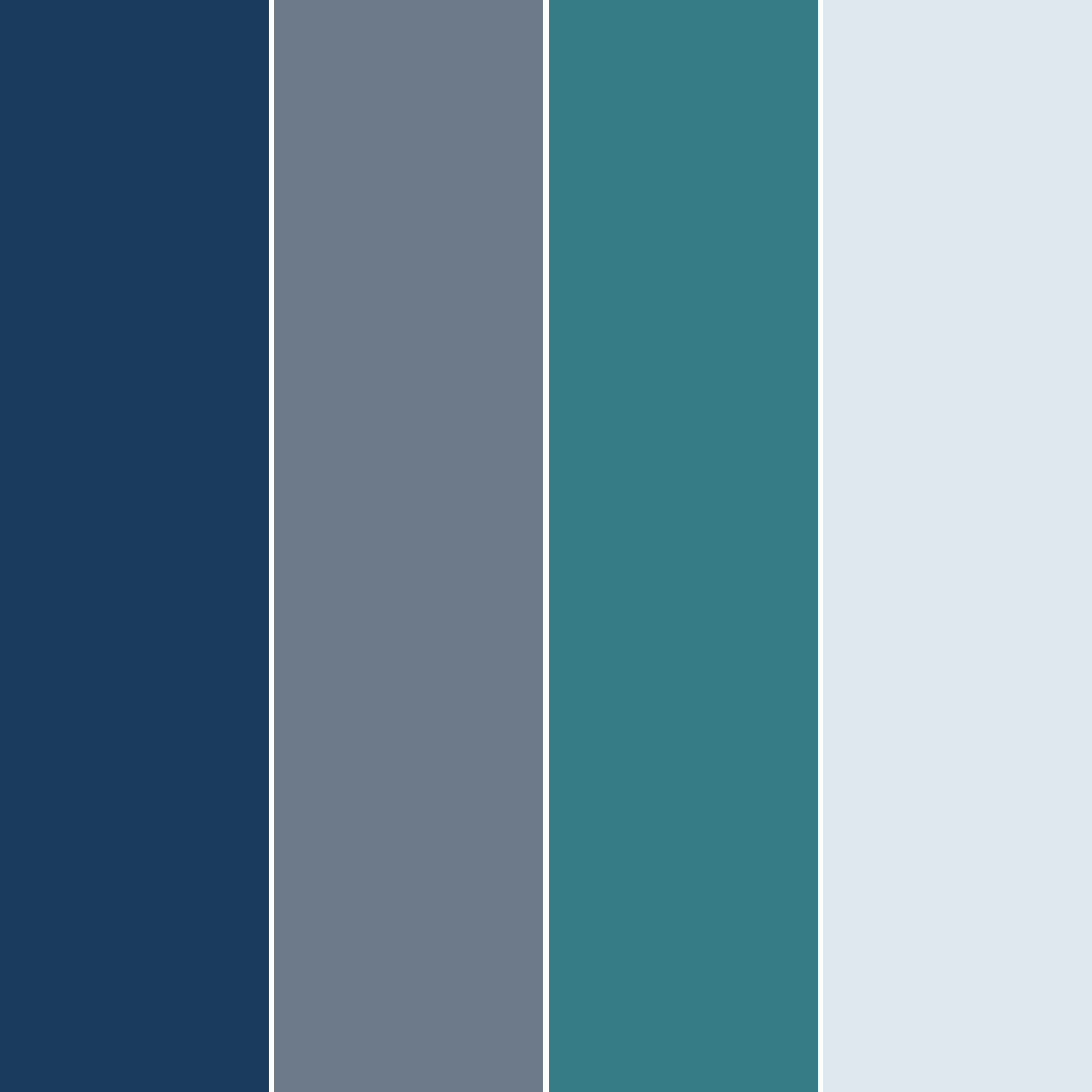 Official Color Scheme of The D5 Group.