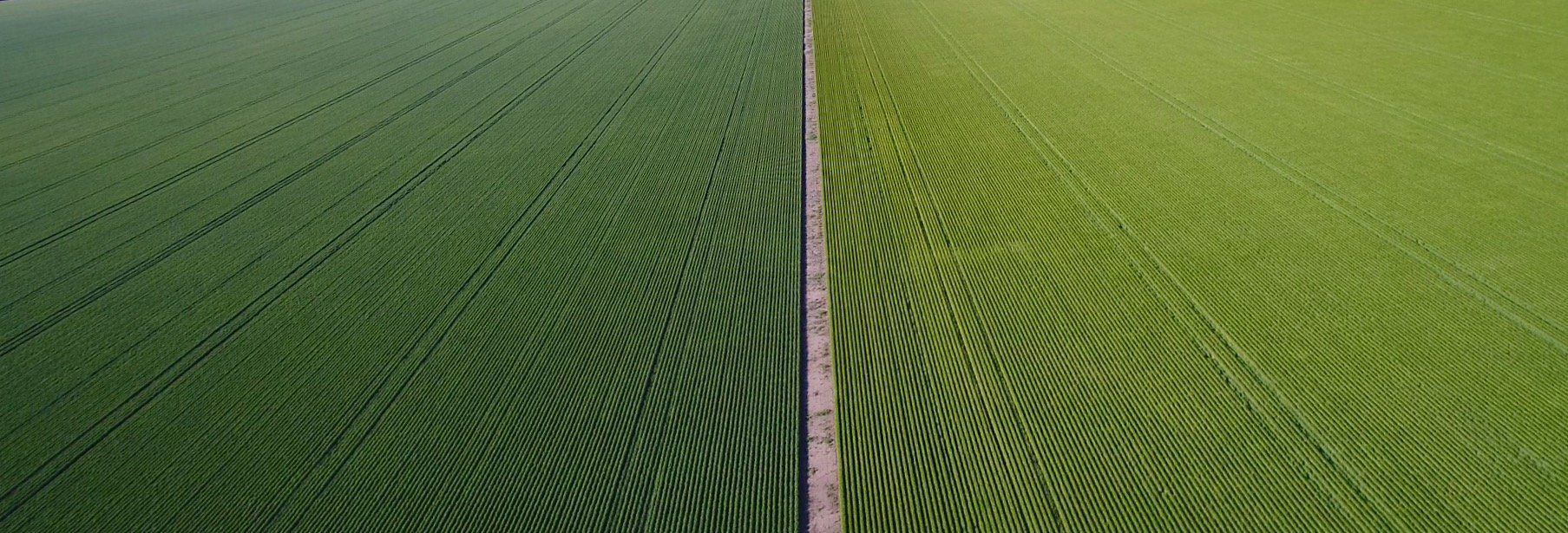 aerial view of fields