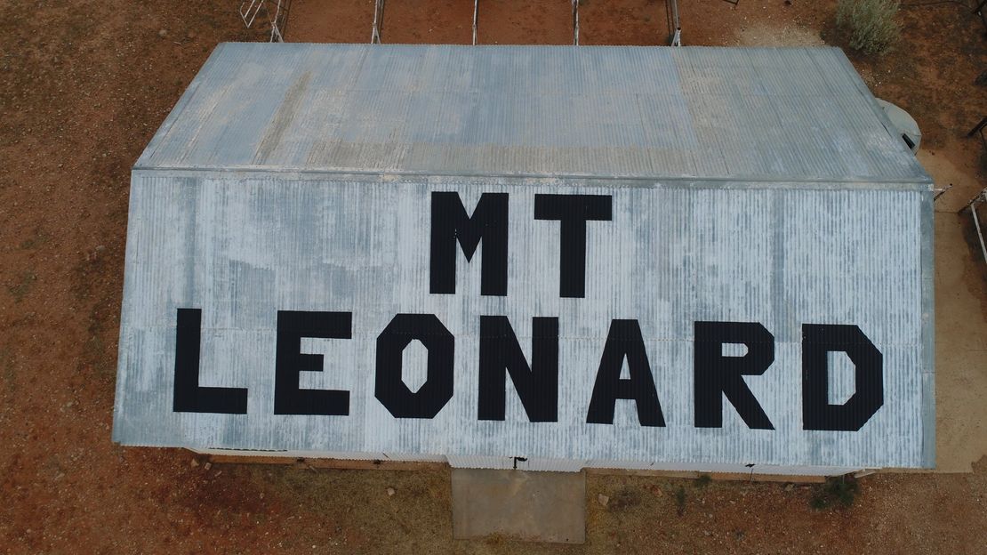 Mt. Leonard Station Poddy Calf (Diamantina)