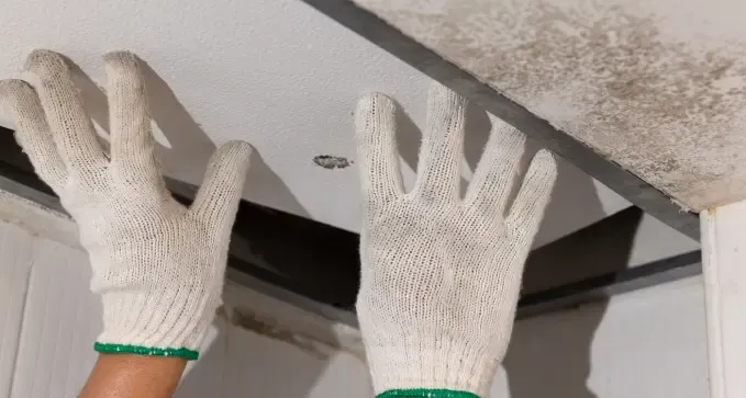 elegir pintura adecuada para un techo con goteras en Santiago de Compostela