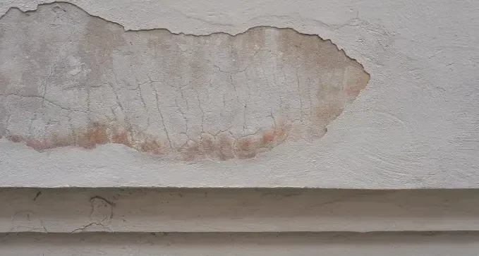 pintar una pared con humedad con la mejor pintura en Santiago de Compostela