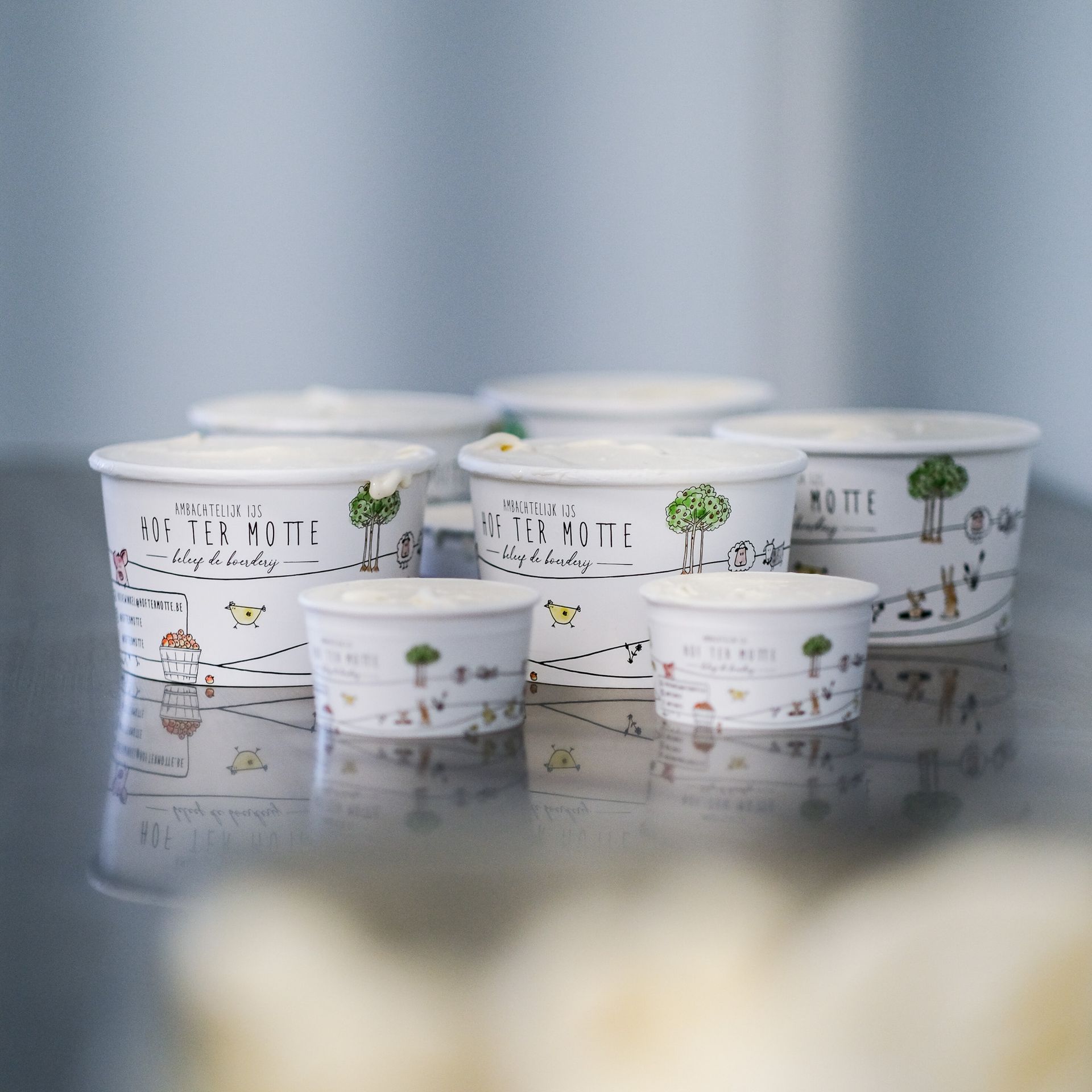 Hof ter Motte aanbod van ijsjes in grote of kleine verpakking