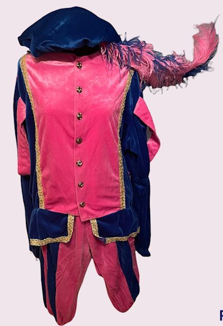Roze-blauwe narrenkostuum met gouden versiering, hangend tegen een effen lichte achtergrond.