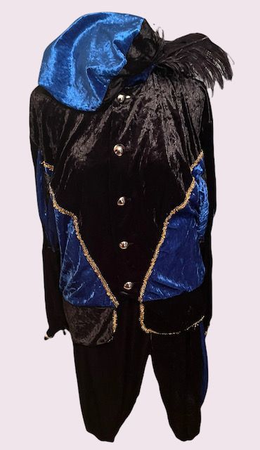 Blauw-zwart narrenkostuum met gevederde hoed en gouden versiering, afgebeeld tegen een effen achtergrond.