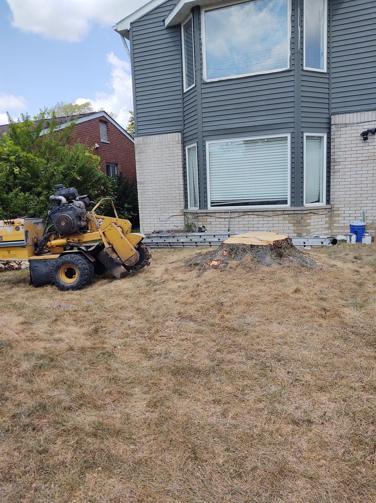 A stump grinder next to a house with a fresh tree stump and a brown, grassy yard.