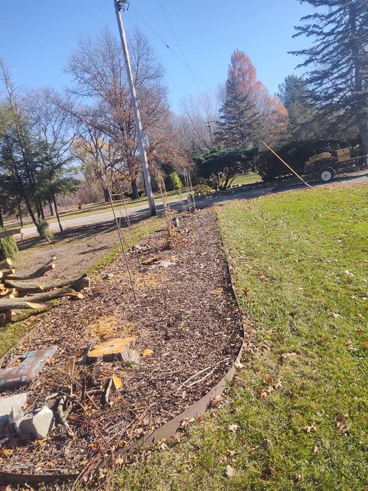 A landscape bed with mulch and metal edging, next to a grassy lawn under a blue sky, with trees in the background.