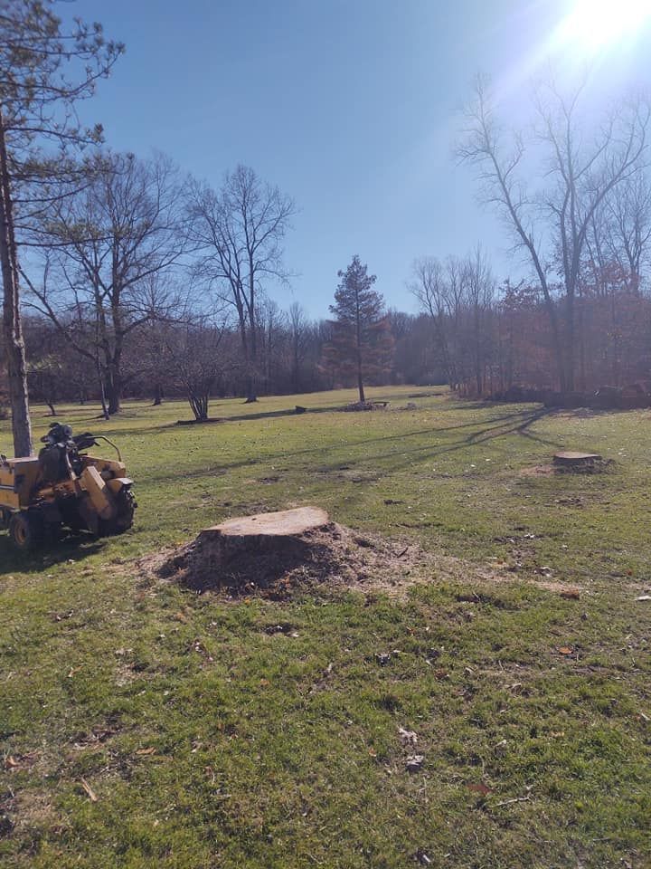 Stump grinding in a grassy field on a sunny day. A machine grinds down a tree stump.