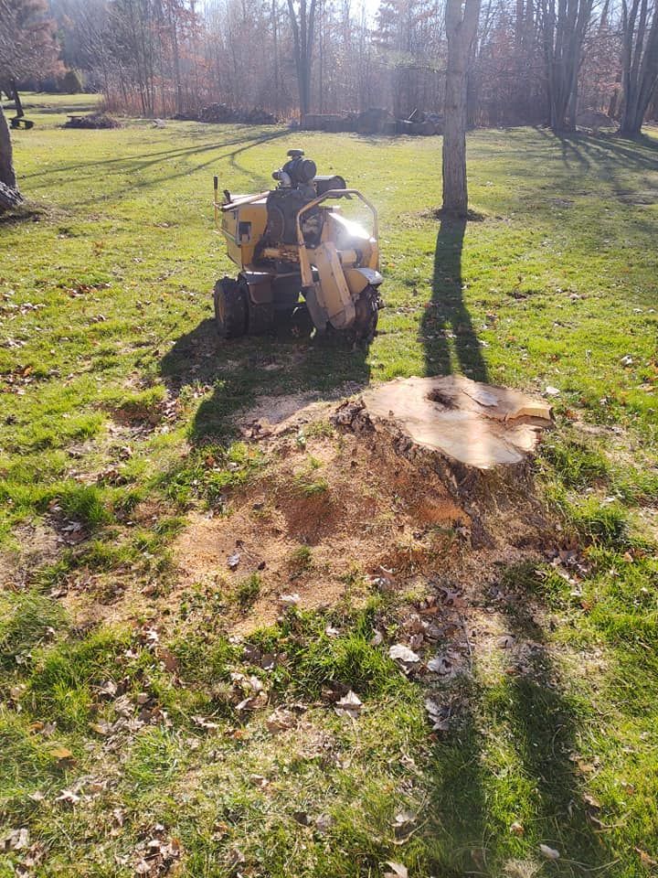 Yellow stump grinder next to a tree stump on a grassy lawn; trees in the background.