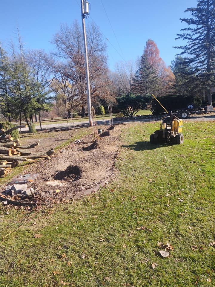 A tree removal project on a grassy lawn with a stump grinder and felled logs, sunny day.