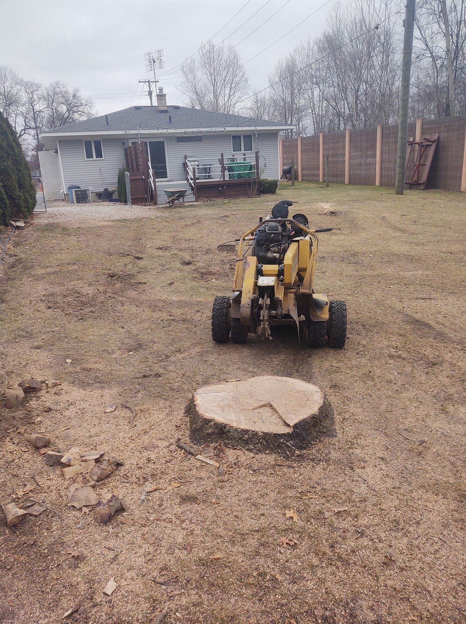 Stump grinder grinding a tree stump in a yard with a house and fence in the background.