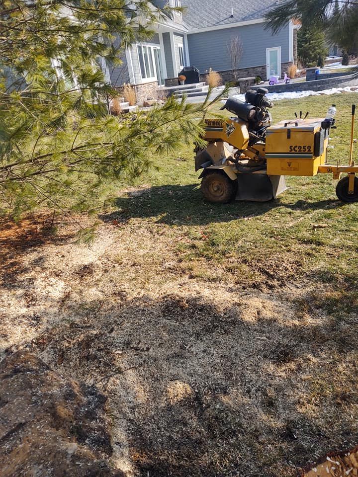 A yellow stump grinder on a lawn, next to a tree, has ground up a tree stump.