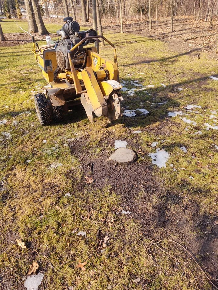 Yellow stump grinder removing a tree stump in a grassy yard, partially covered with snow.