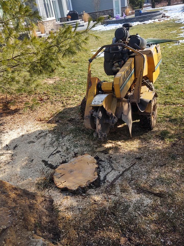 A yellow stump grinder removing a tree stump in a yard, surrounded by wood chips.