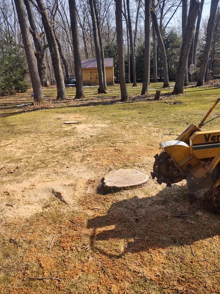 Stump grinder removing a tree stump in a yard, surrounded by sawdust. In the background, trees and a small building.