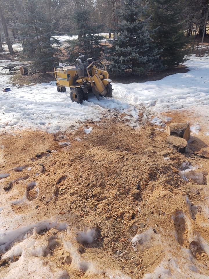 A tree stump grinding machine operator in snowy yard. Brown wood chips and snow cover ground.